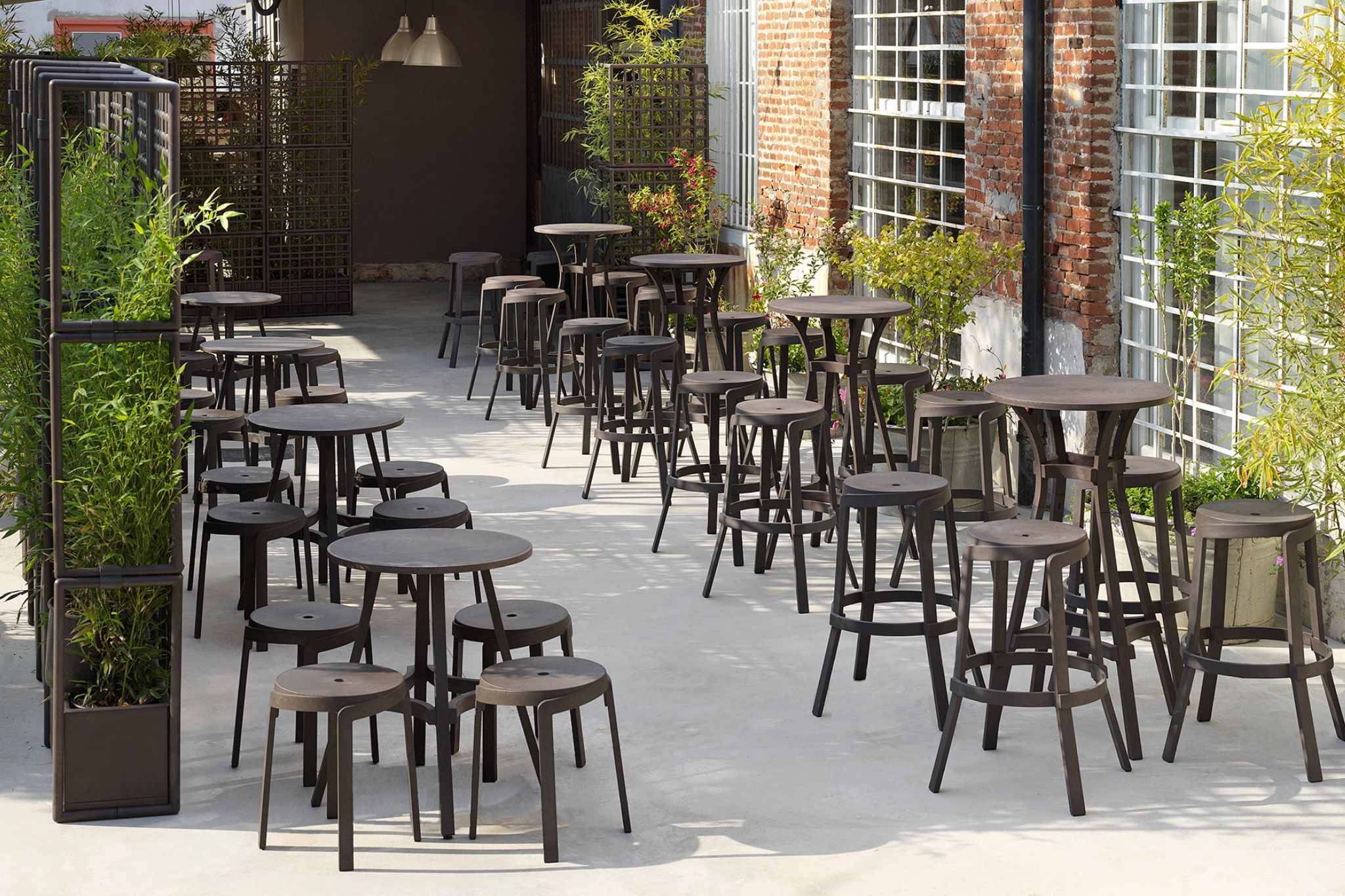 Untitled design - 2025-03-03T132956.398